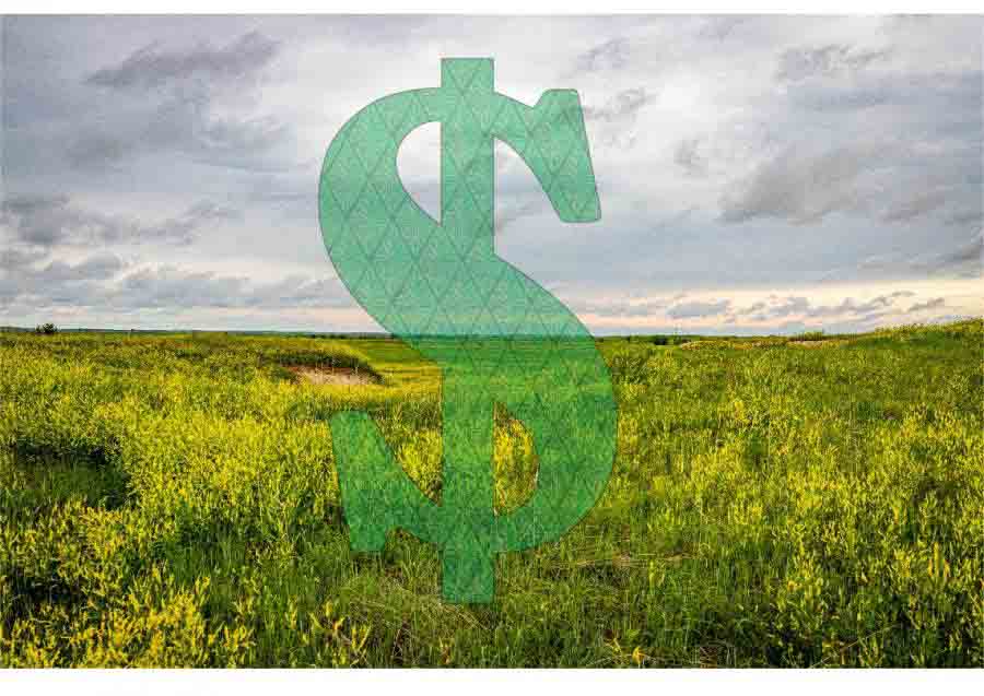 Valuation of Environmental Resources